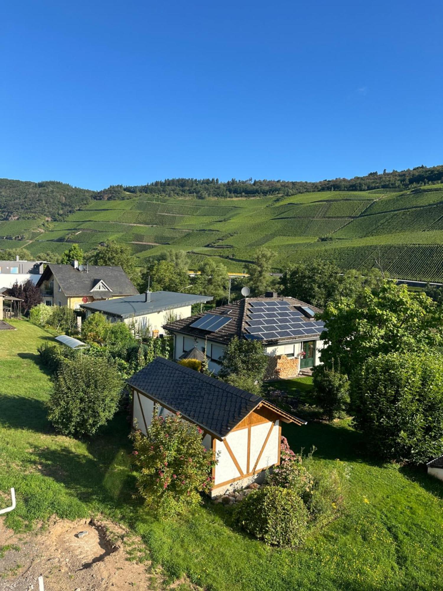 Moselappartements By Weingut Marco Adamy Losnich Экстерьер фото
