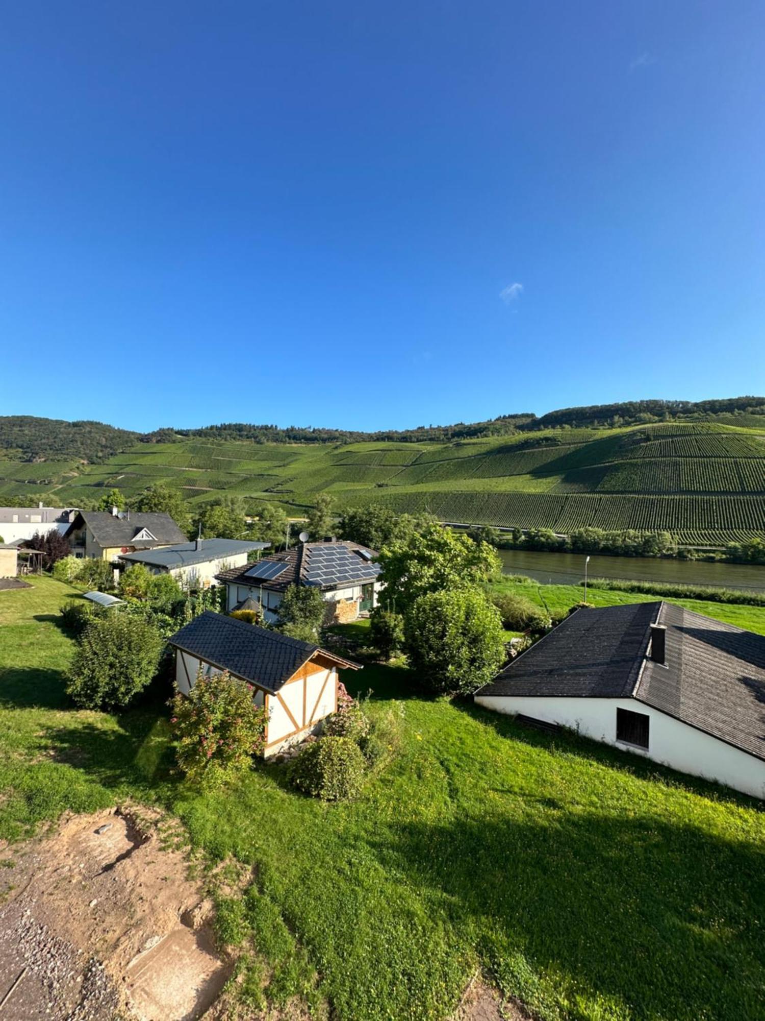 Moselappartements By Weingut Marco Adamy Losnich Экстерьер фото