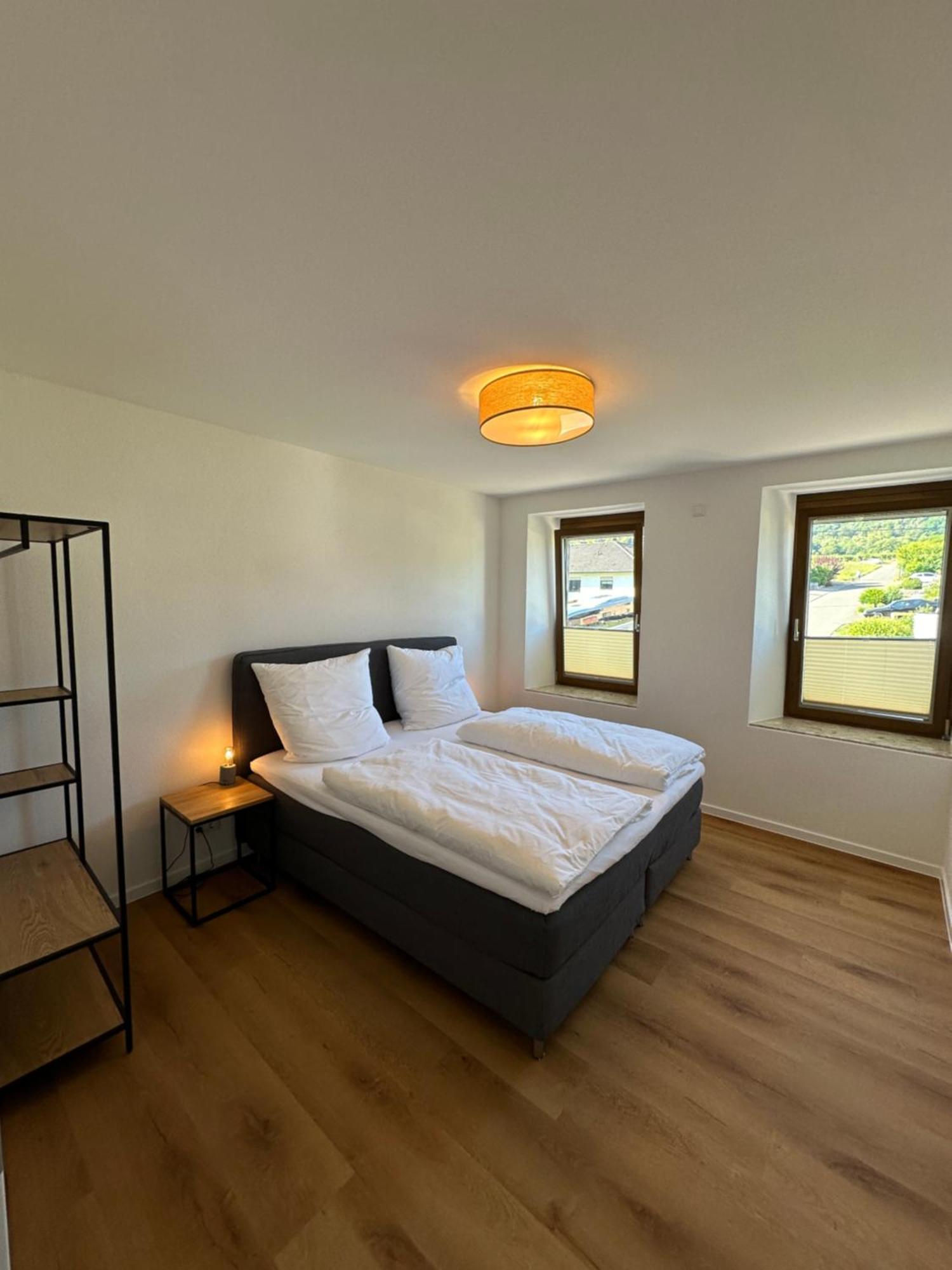 Moselappartements By Weingut Marco Adamy Losnich Экстерьер фото