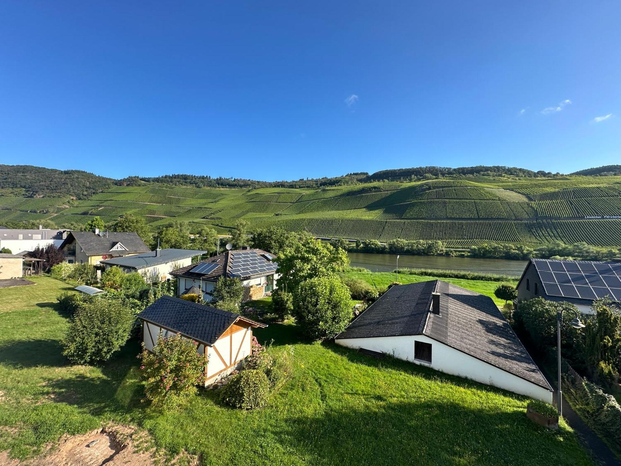 Moselappartements By Weingut Marco Adamy Losnich Экстерьер фото