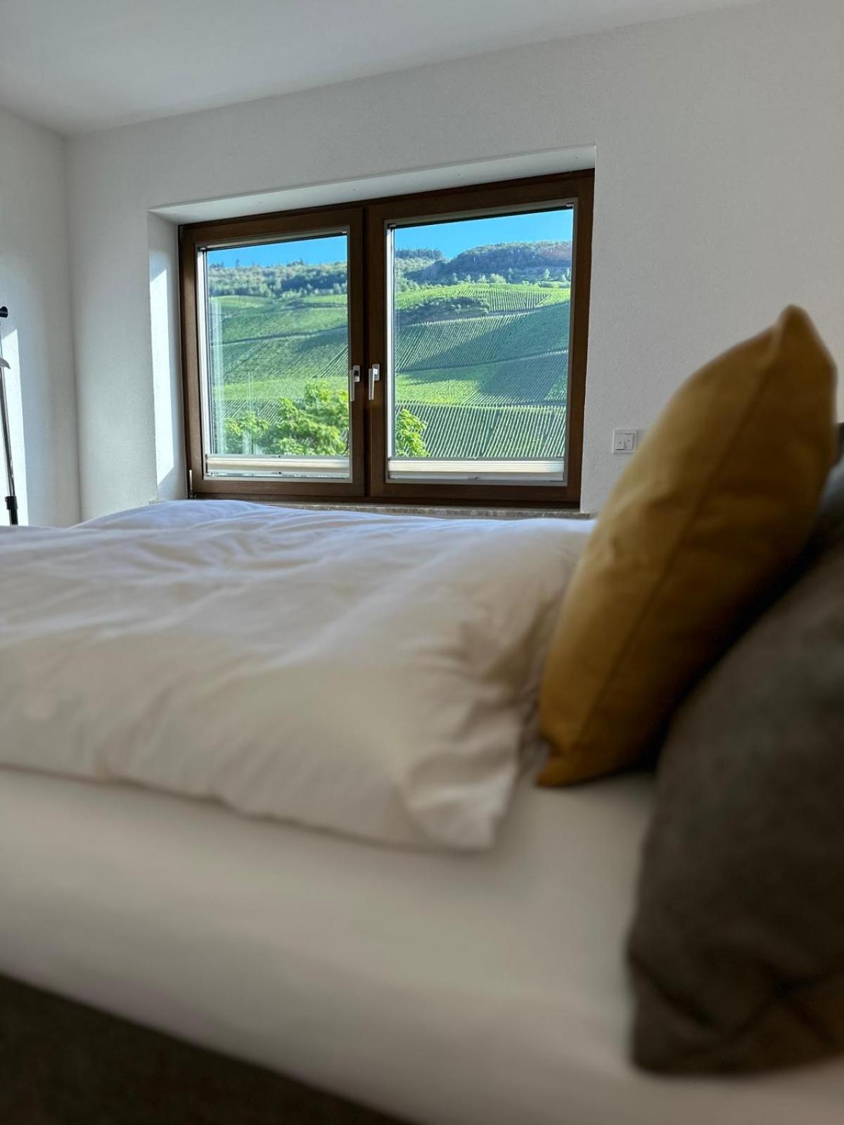 Moselappartements By Weingut Marco Adamy Losnich Экстерьер фото