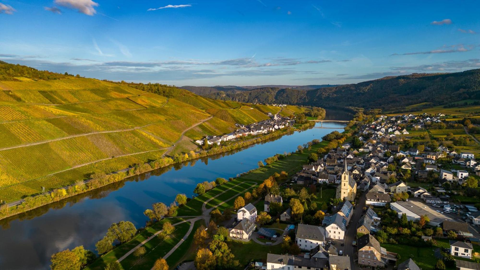 Moselappartements By Weingut Marco Adamy Losnich Экстерьер фото