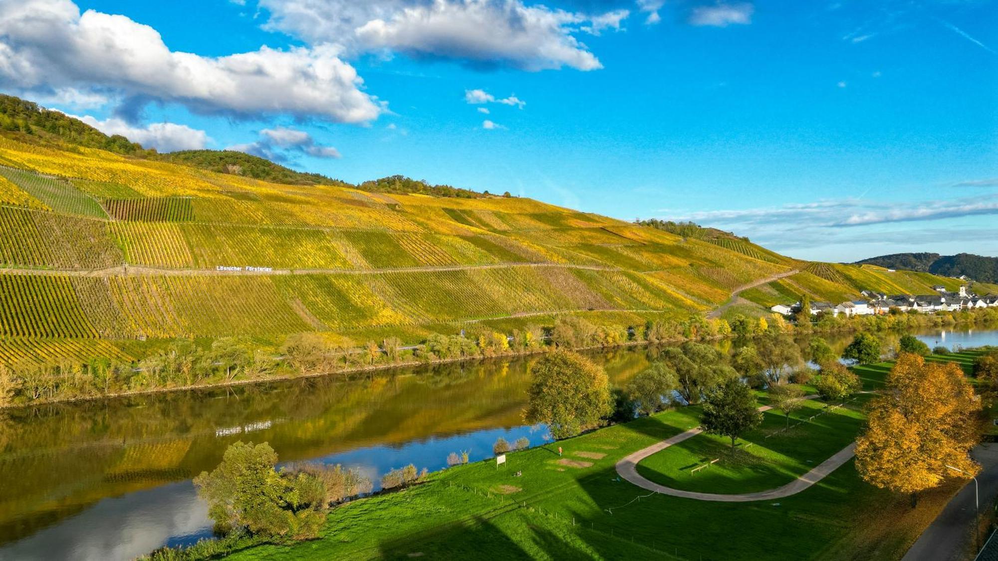 Moselappartements By Weingut Marco Adamy Losnich Экстерьер фото