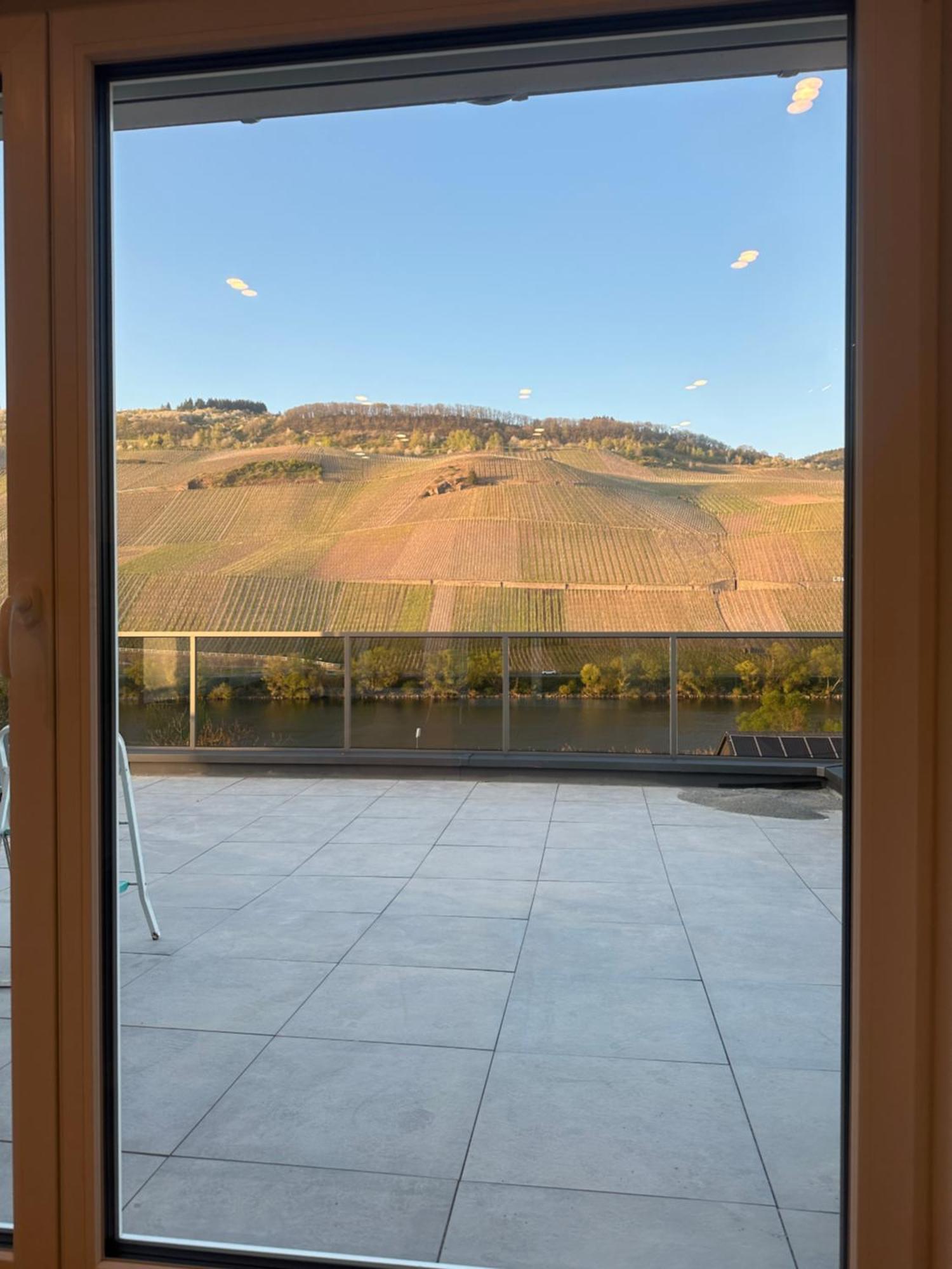 Moselappartements By Weingut Marco Adamy Losnich Экстерьер фото