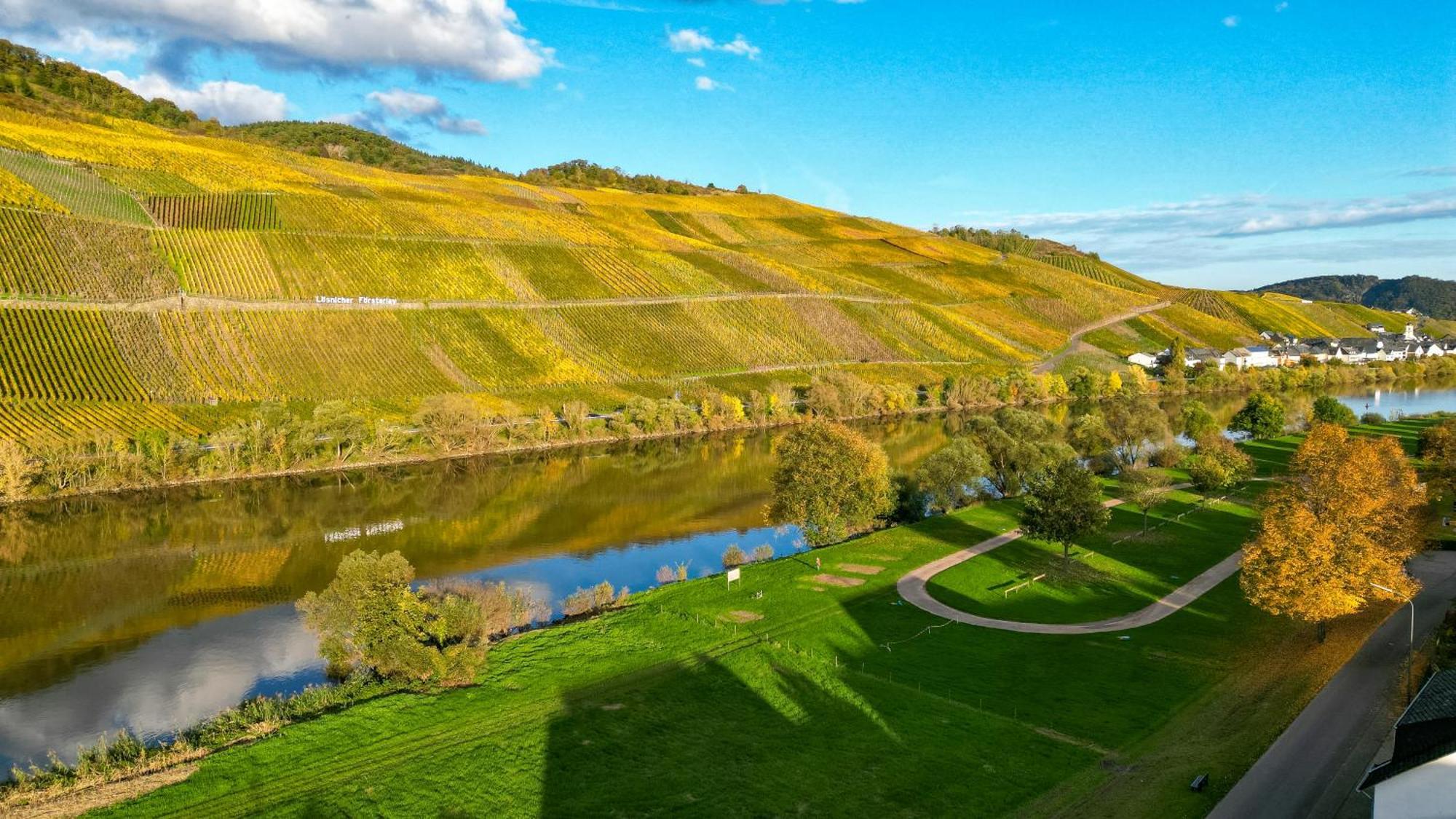 Moselappartements By Weingut Marco Adamy Losnich Экстерьер фото