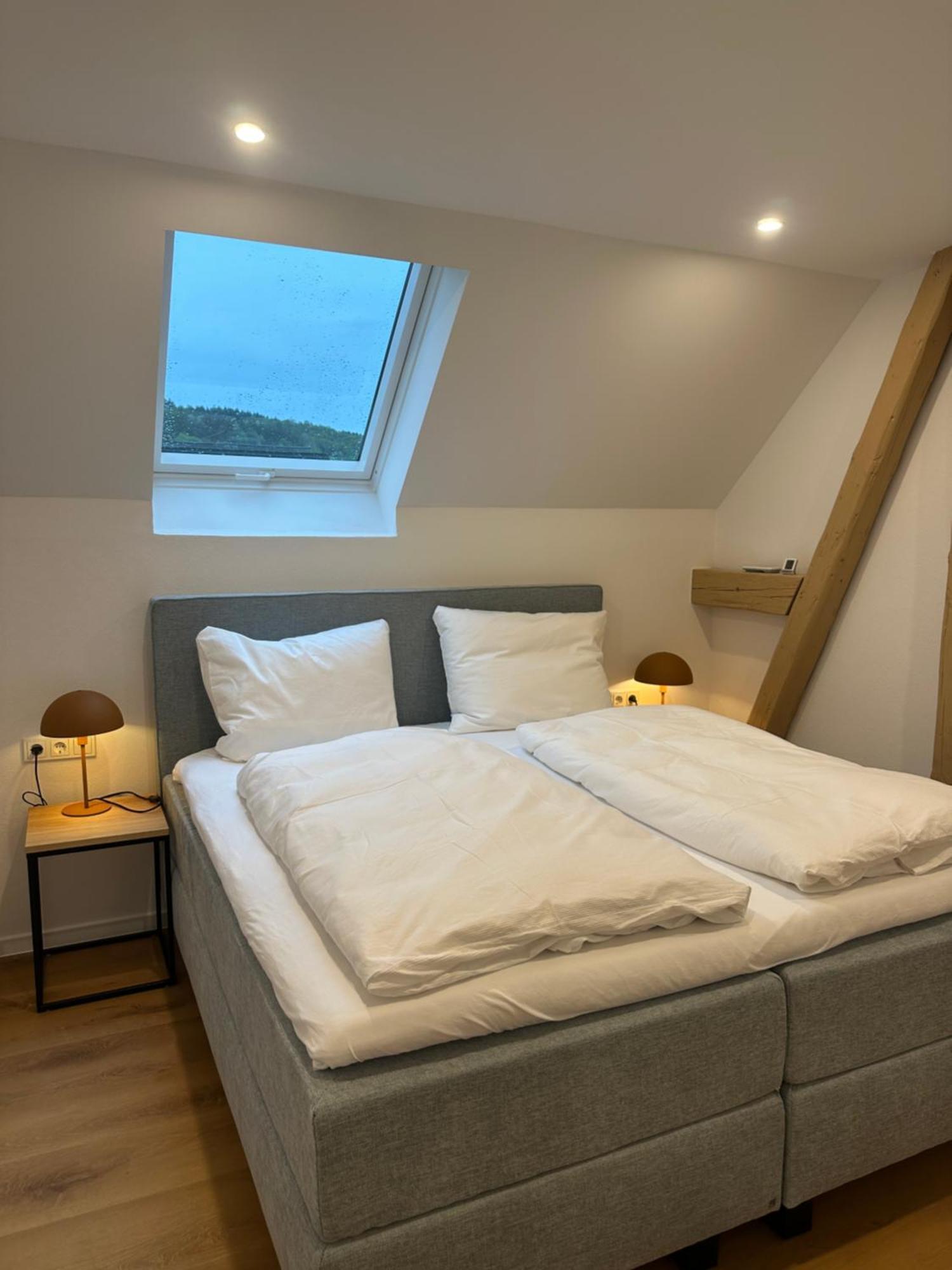 Moselappartements By Weingut Marco Adamy Losnich Экстерьер фото