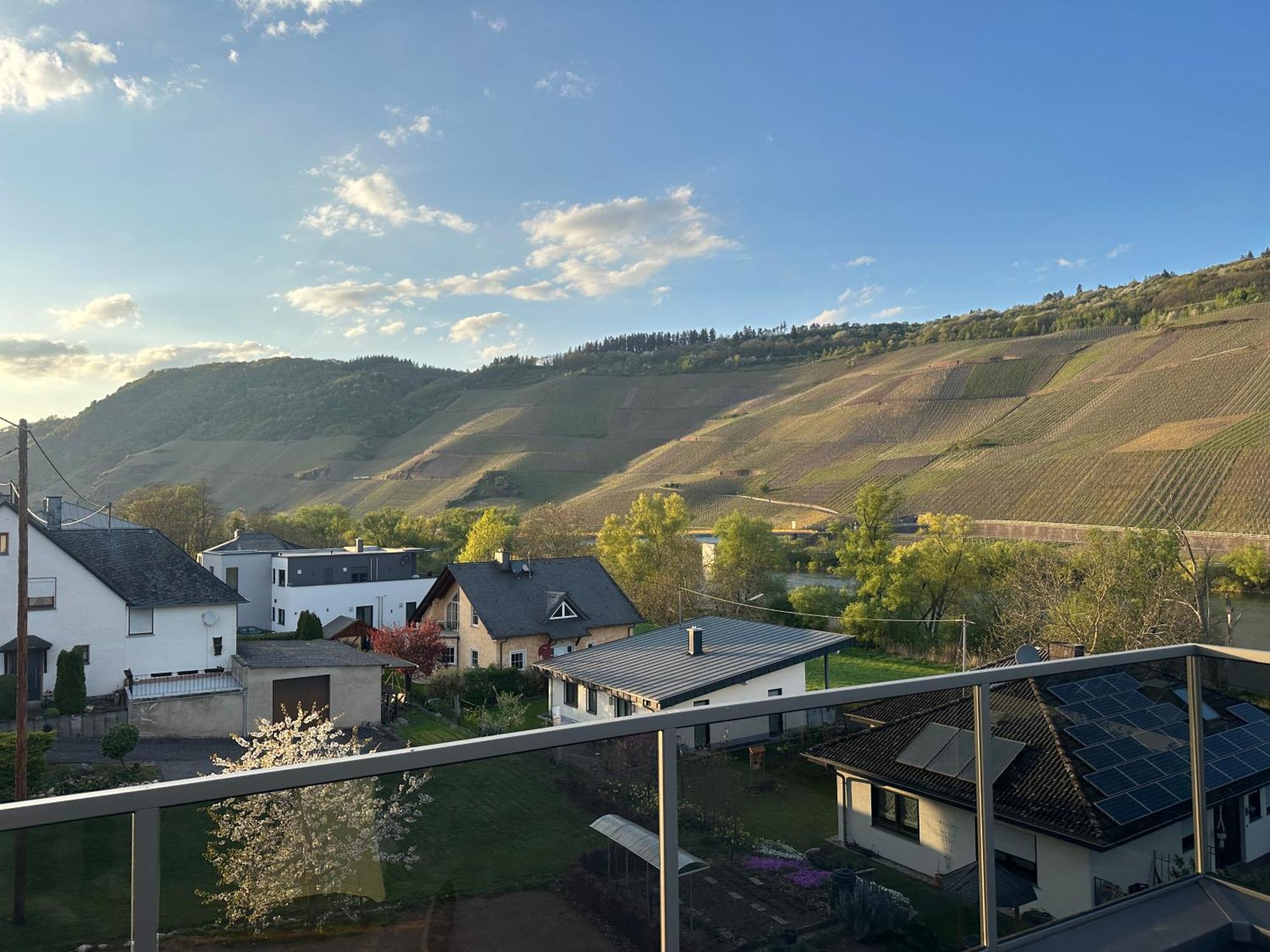Moselappartements By Weingut Marco Adamy Losnich Экстерьер фото